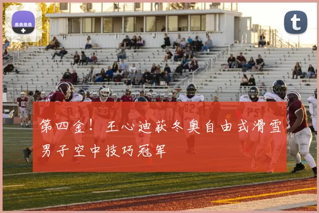 第四金！王心迪获冬奥自由式滑雪男子空中技巧冠军