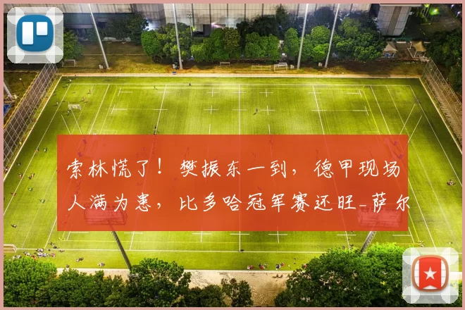 索林慌了！樊振东一到，德甲现场人满为患，比多哈冠军赛还旺_萨尔布吕肯_赛事_选手