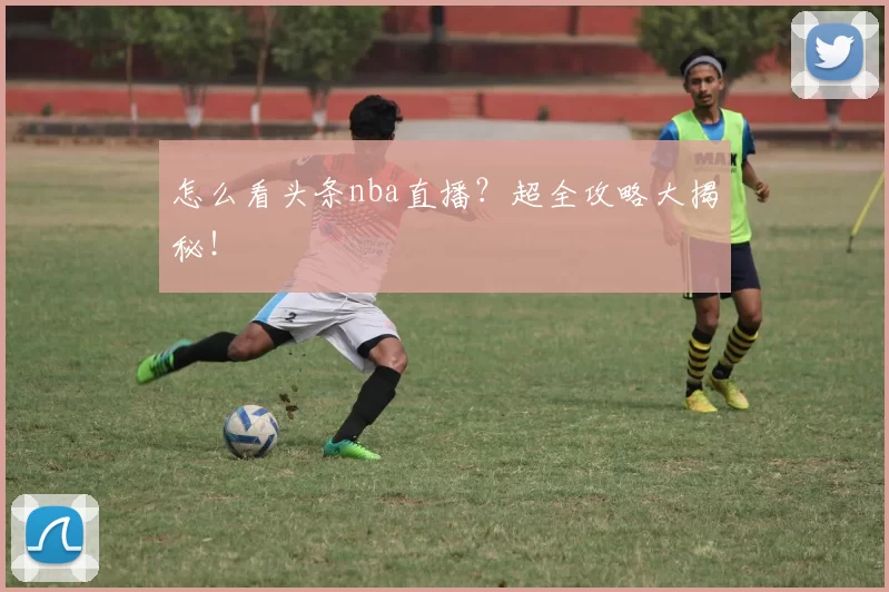 怎么看头条nba直播？超全攻略大揭秘！