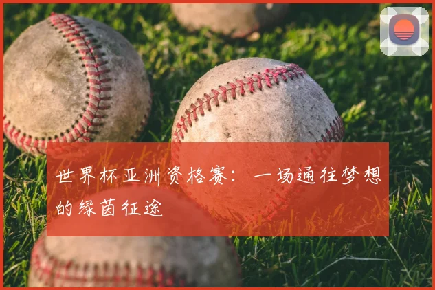 世界杯亚洲资格赛：一场通往梦想的绿茵征途
