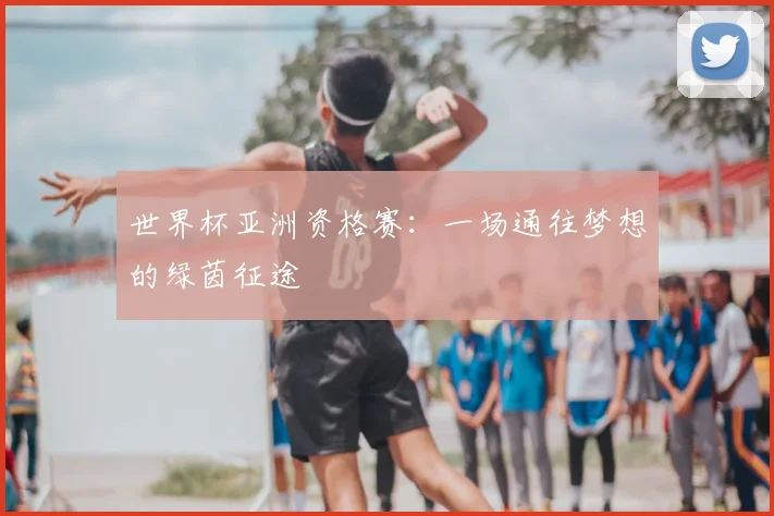 世界杯亚洲资格赛：一场通往梦想的绿茵征途
