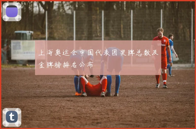 上海奥运会中国代表团奖牌总数及金牌榜排名公布