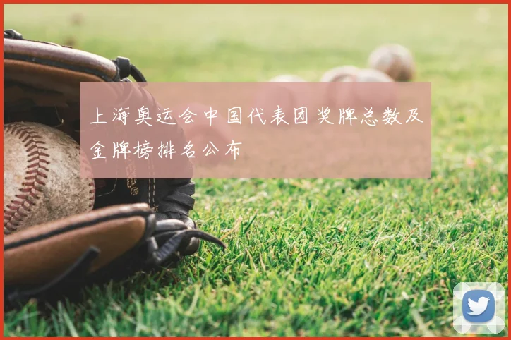 上海奥运会中国代表团奖牌总数及金牌榜排名公布